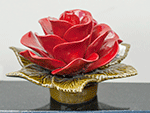 Red Rose