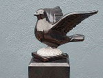 Dove
