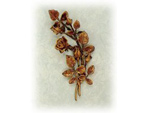 Headstones Flowers 02